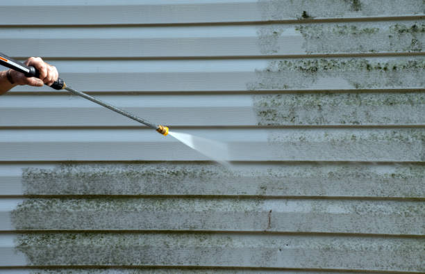 Best Deck Cleaning Services  in Westfield, WI